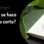 Plantilla blog del sitio web (8)